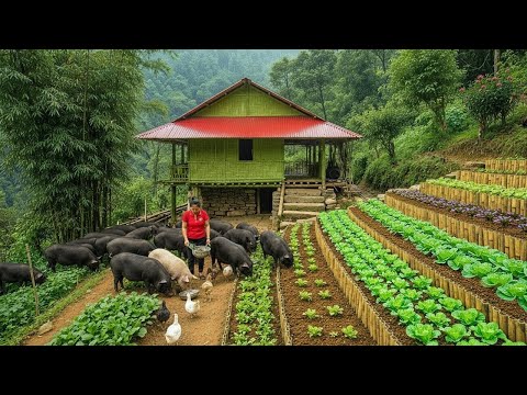 The girl living in the deep forest and the billion-dollar farm she built with her own hands