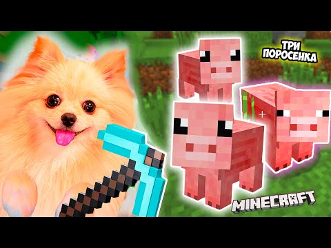ТРИ ПОРОСЕНКА В МАЙНКРАФТ ! СТРОЮ БОЛЬШУЮ ФЕРМУ В MINECRAFT