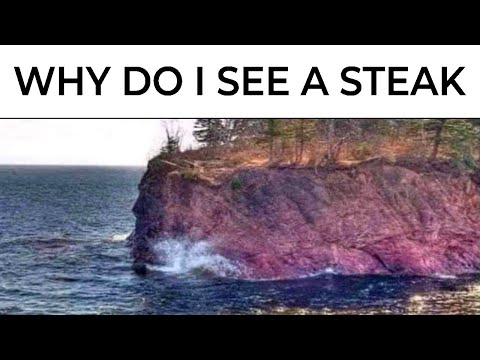 Optical Illusion Memes