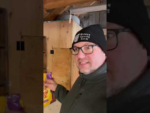 What's the BEST Dry Cat Food? #shorts