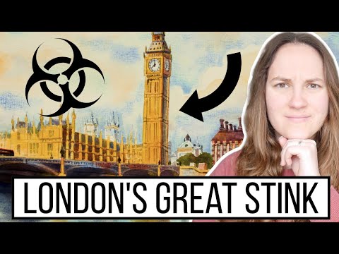 how one SMELLY London summer saved the WORLD