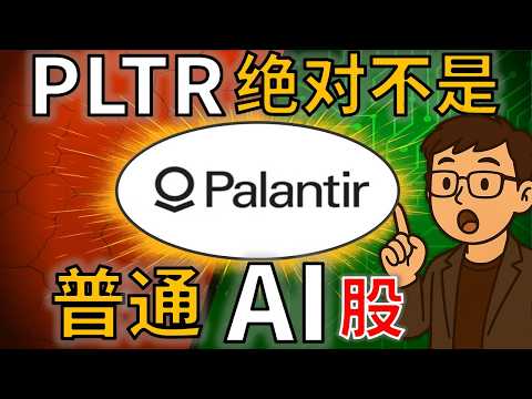 Palantir：它是改变世界的公司，还是危险的泡沫？