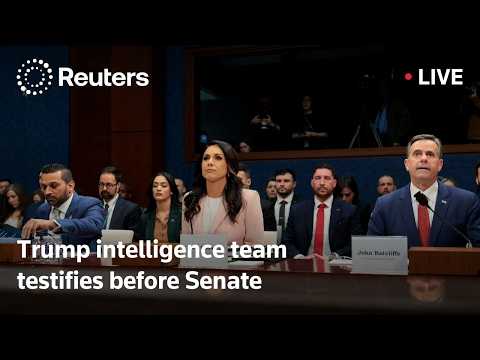 LIVE: Trump intelligence team testifies before Senate