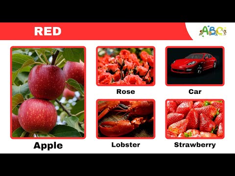 Learning Colors for Toddlers | Learn to Identify Colors for Kindergarten and Preschoolers