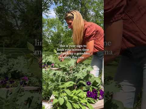 2026 is the year of less time on your phone and more in the garden☀️🍃#garden #goals #momlife