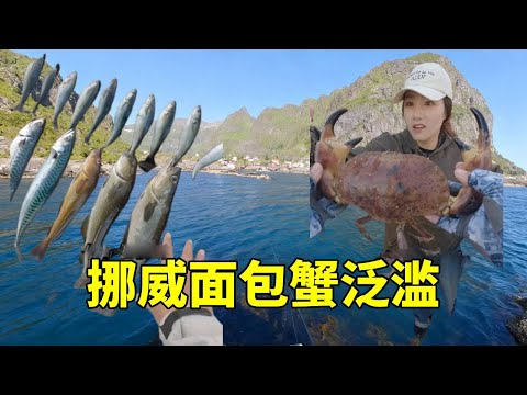 国内的顶级食材面包蟹居然在国外挪威泛滥了，不远万里来到挪威，家门口抓到了超大面包蟹  #钓鱼 #fishing #大豪夫妇