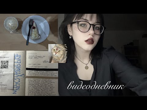 видеодневник : будни, дневники и книги