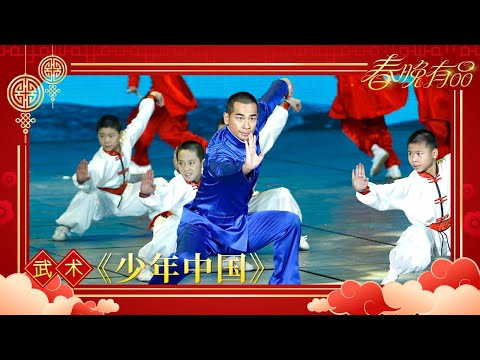 武术《少年中国》赵文卓等【2013年央视春晚】|订阅CCTV春晚
