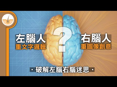 破解左腦人右腦人理論迷思 (繁中字幕)