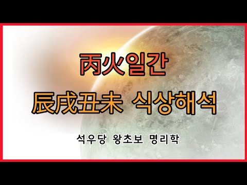 丙火일간 진술축미 식상해석!(석우당 왕초보 명리학)