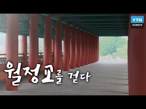 돌아온 신라의 다리, 월정교를 걷다 / YTN 사이언스