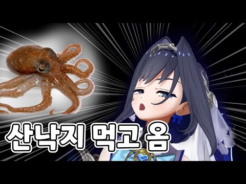 알차게 즐긴 크로니의 한국 여행