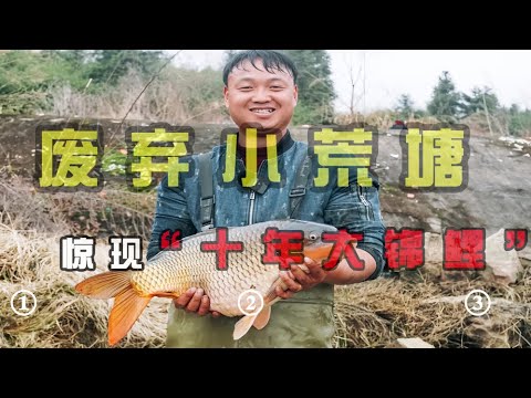 村后面的荒废小鱼塘，竟然出现大锦鲤？｜花660元包下几年没管的鱼塘，放水干塘看看值不值？｜花1800元包下5没干的水库，没想到塘主竟然要反悔？