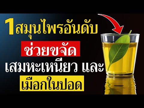 สมุนไพรอันดับ 1 ที่ช่วยขจัดเสมหะและเมือกออกจากคอของคุณในเวลาเพียงไม่กี่นาที!