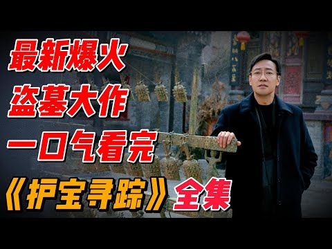 【完整版】一口气看完2025最新爆火大作《护宝寻踪》，秦川大地摸金校尉精彩解说 #影视解说 #中国电视剧