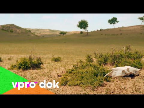 Innere Mongolei und die Auswirkungen der Wüstenbildung | VPRO Dok