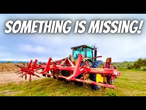 Last day of potato planting season!