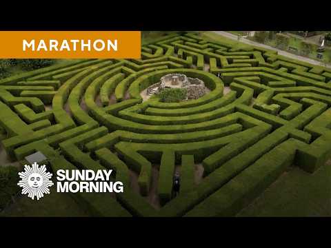 Picking up the puzzle pieces