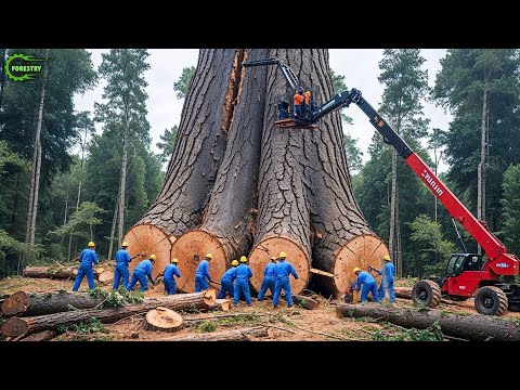 Extreme Dangerous Fastest Big Chainsaw Cutting Tree Machines | Monster Stump Removal Excavator #82