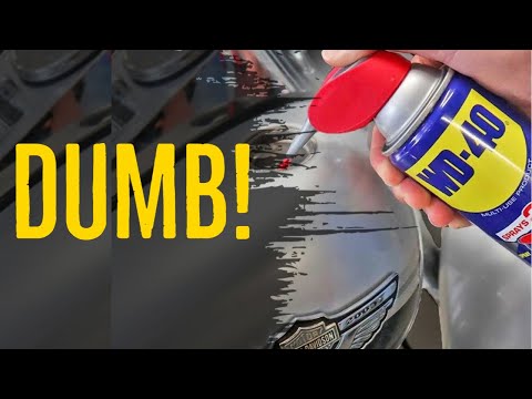 10 STUPID Advices for Beginner Riders