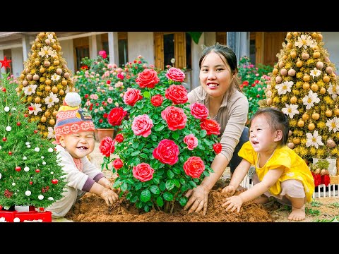 How to Grow Rose Flowers to Decorate My House with My Kids - Harvesting Giant Fish to Sell at Market
