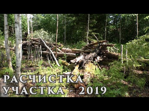 Расчистка участка под дачу Сезон 2019