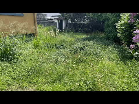 SAVING a VETERAN from EVICTION over an OVERGROWN yard