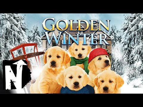 Golden Winter | Full Christmas Movie | A Boy and His Dogs Save the Day