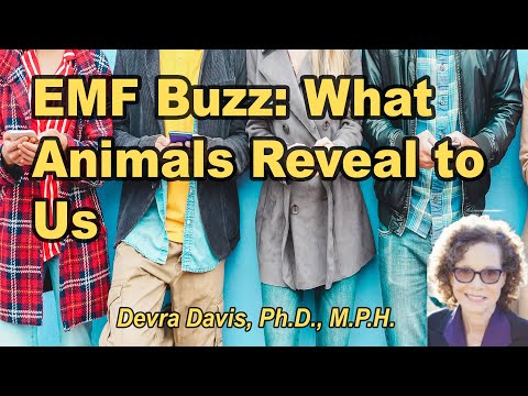 Latest Buzz about EMF: What the animals are trying to tell us, and what to do about it