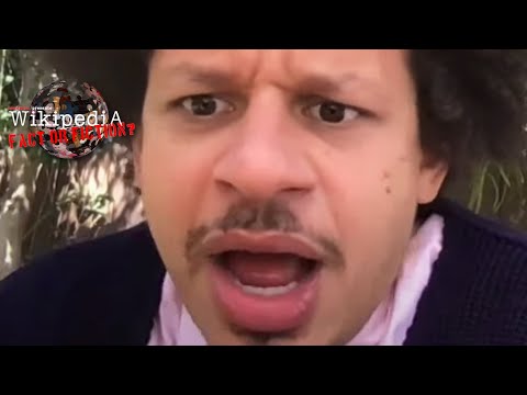 Eric Andre - Wikipedia: Fact or Fiction?