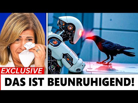 KI hat gerade die Krähen­sprache entschlüsselt – was sie über uns sagen, ist schockierend !!