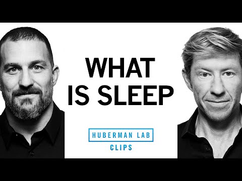 What is Sleep? | Dr. Andrew Huberman & Dr. Matthew Walker