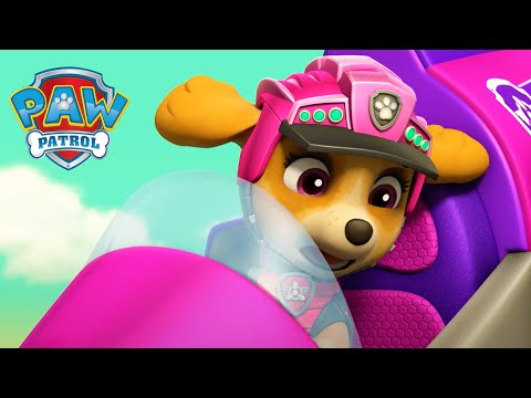 天天拯救翼手龙！🦖 - PAW Patrol 汪汪隊立大功 - 兒童卡通