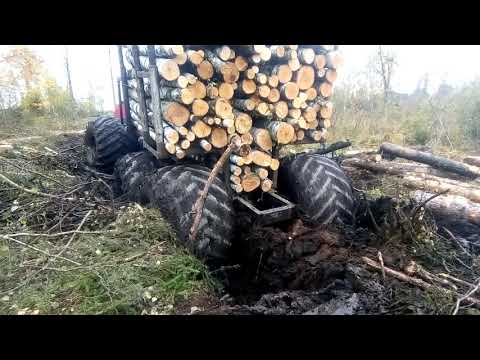 homemade forwarder(04.10.2019)