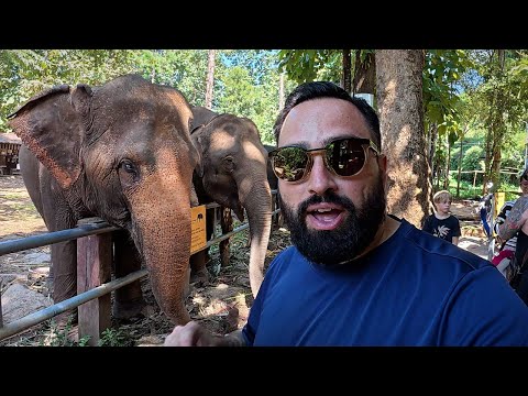 24 Hours in Thailand's Best Elephant Resort ๐น๐ญ (Chiang Mai)