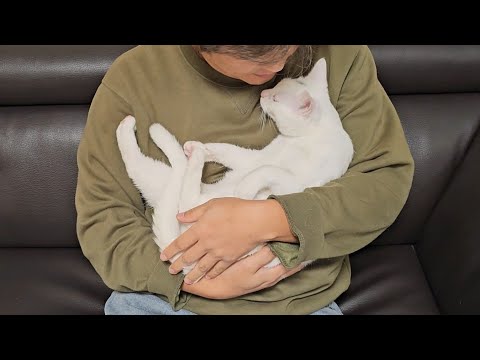 이제야 인사드립니다ㅜㅜ