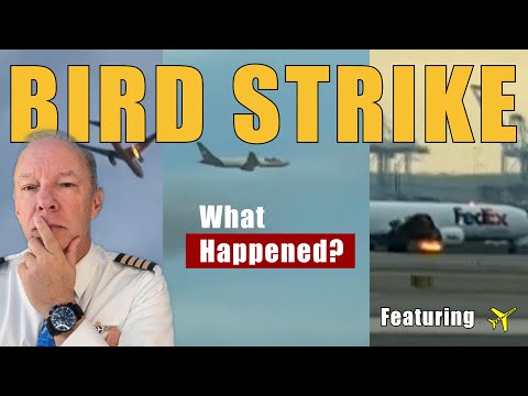 Bird Strike & Engine Fire: Captain Steeeve Breaks Down FedEx 3609 Emergency