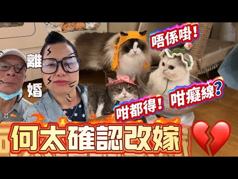 何太稱確認改嫁 何伯要自行了斷！毀三觀嘅何太慫恿何伯大爆仔女私隱 不堪入耳！竟然連亡妻都不放過大爆亡妻有婦科病…！|三隻貓模仿何太口音複述 句句駁到盡 河馬如果聽到應該都會嬲豬|三隻貓戴帽可愛到爆炸！