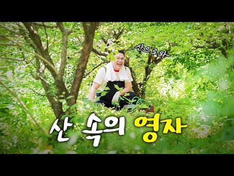 이영자 4촌 하우스 떠나 산으로 간 이유