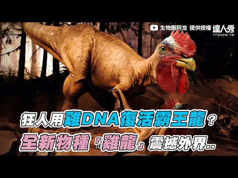 【狂人用雞DNA復活霸王龍？全新物種「雞龍」震撼外界..】｜生物圈阿龙