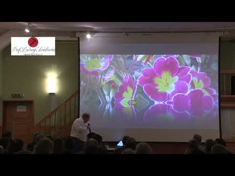 Reiner Schwarz: Bruder Adam uns seine Auswirkung auf meine Imkerei - Weimarer Bienensymposium