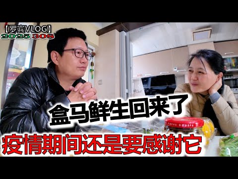 马云的盒马鲜生悄无声息回来了，想起疫情封城抢购食物的时候【罗宾VLOG】