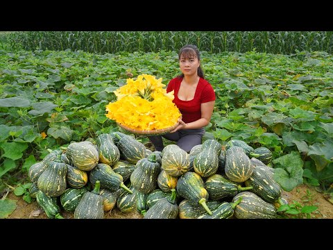 Harvesting Pumpkin and Pumpkin Flower Go To Market Sell || Phương - Free Bushcraft