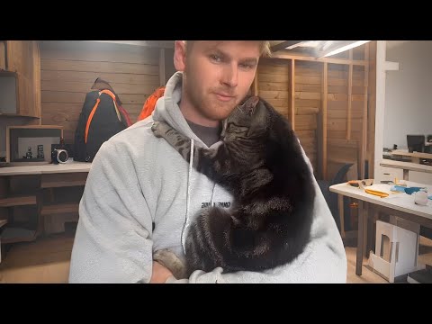 Man Said No to a Cat… Until One Chose Him 🐱❤️