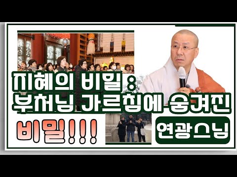 @조계사주말법회 지혜의 비밀: 부처님 가르침에 숨겨진 비밀 ‘지혜는 어디서 오는가?’ - 2025년(불기2569년) 12월 6일 16,17대 중앙종회 의원 연광스님 법문