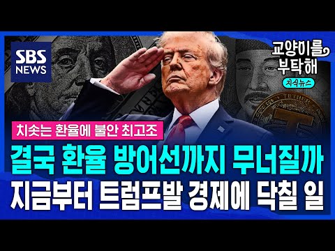 [지식뉴스] 결국 환율 방어선까지 무너지나...지금부터 트럼프발 경제에 닥칠 일 (ft.이선엽 AFW파트너스 대표) / SBS / 교양이를 부탁해