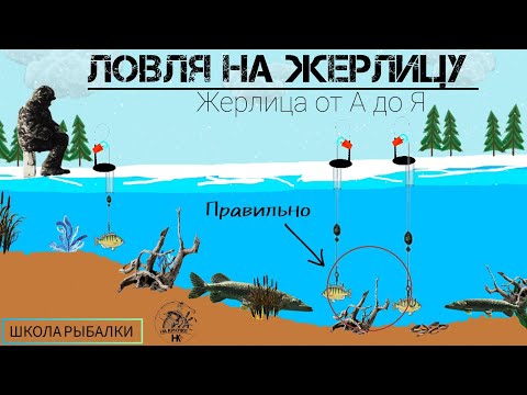 ЖЕРЛИЦА на ЩУКУ и др. Где и как ловить? ЗНАЙ И ЛОВИ. Школа рыбалова.(Ч.2)