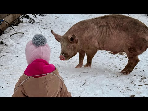 12 детей и большой хозяйство