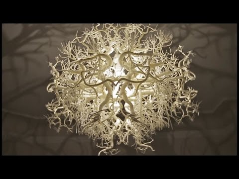 TOP 10 3D Printed Creations