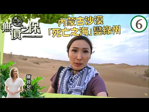 陳貝兒  內蒙古沙漠｢死亡之海｣變綠州 | 無窮之路 II - 無價之保 #06 | 陳貝兒 | 粵語中字 | TVB 2022